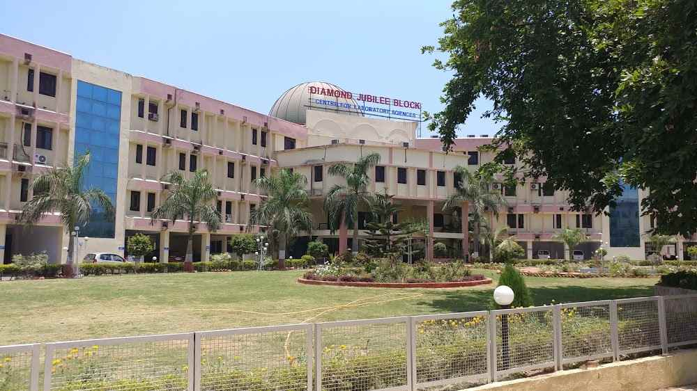 Armed Forces Medical College AFMC Pune Images Photos Videos 