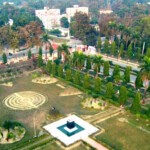 Dr Rajendra Prasad Central Agricultural University Pioneer