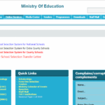 FORM ONE SELECTION 2020 ONLINE FORM 1 ADMISSION LETTERS DOWNLOAD