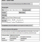 FREE 63 Sample Application Form Templates In MS Word Google Docs