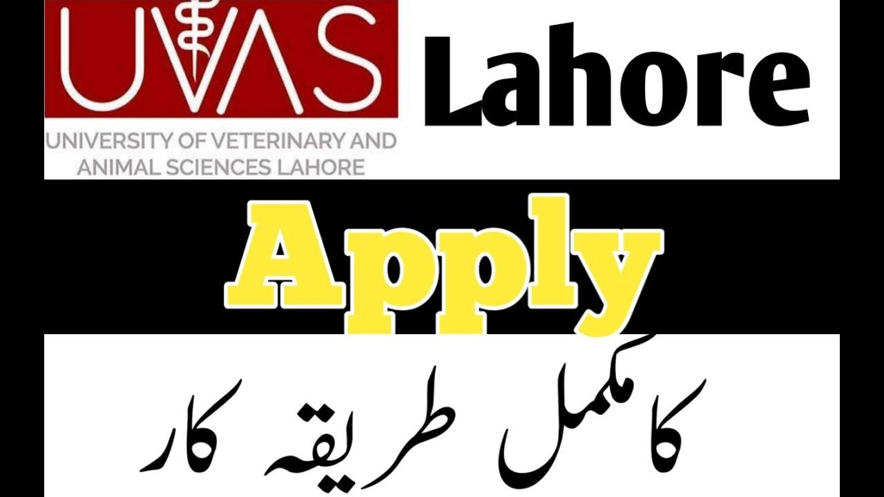 How To Apply UVAS Lahore How To Fill Online Admission Form Of UVAS