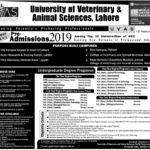 UVAS Lahore Admission 2021 Undergraduate Last Date Application Form