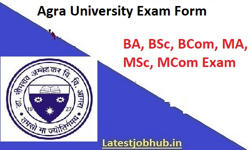 Agra University Exam Form 2022 DBRAU Main Back Exam Form
