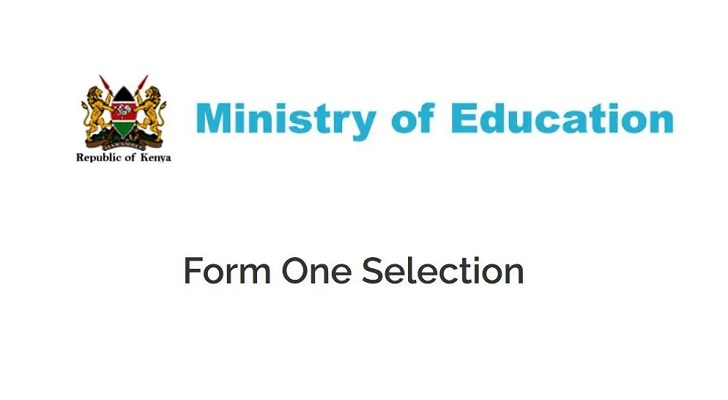Check Form One Selection 2023 And Download Admission Letters