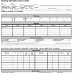 FREE 10 Nursing Assessment Form Samples In MS Word PDF