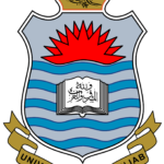 Punjab University BA BSc Supplementary Admission 2022 Form