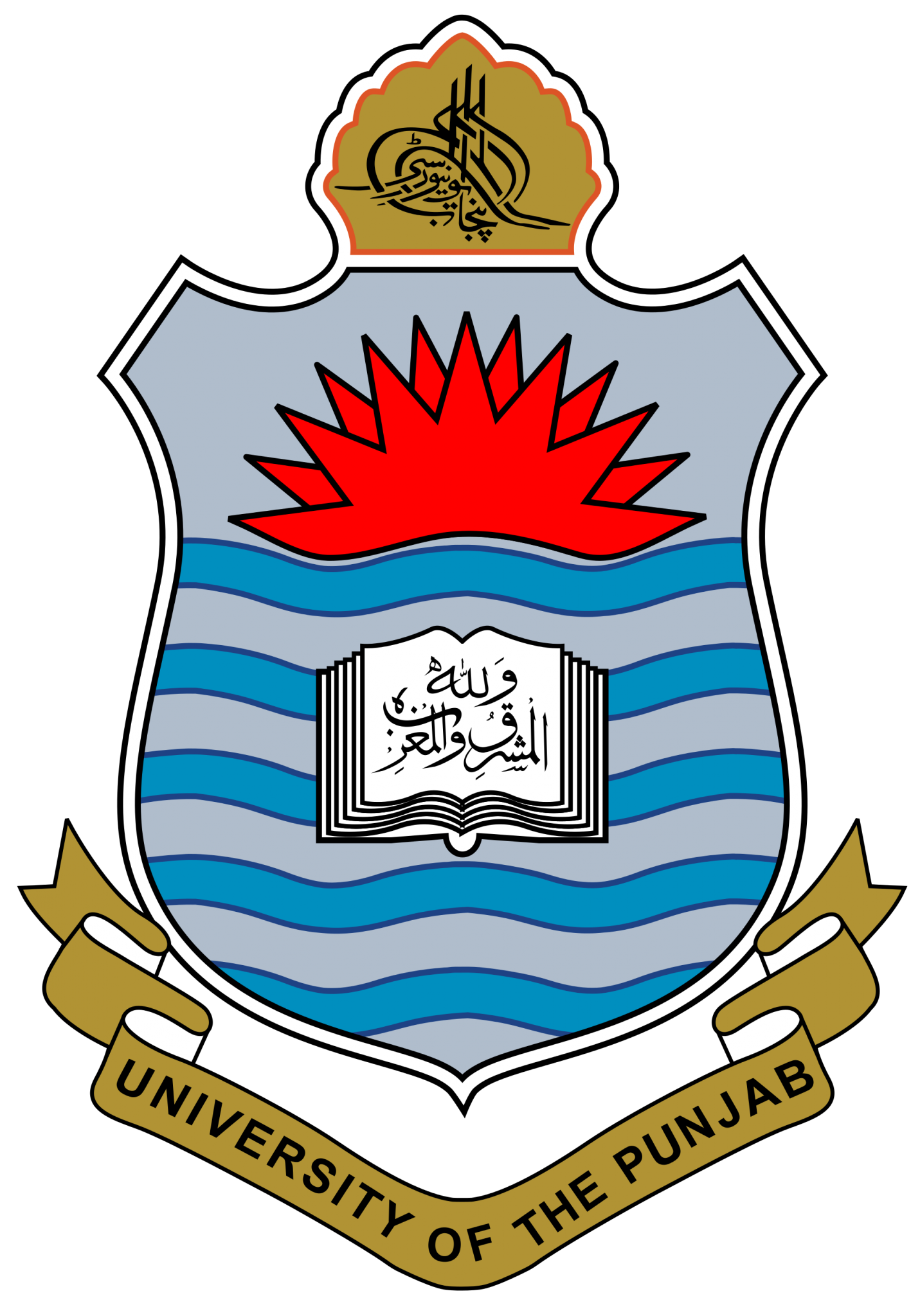 Punjab University BA BSc Supplementary Admission 2022 Form