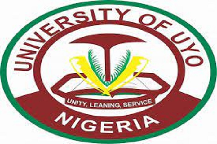 UNIUYO Postgraduate Admission Form 2023 2024 Session How To Apply